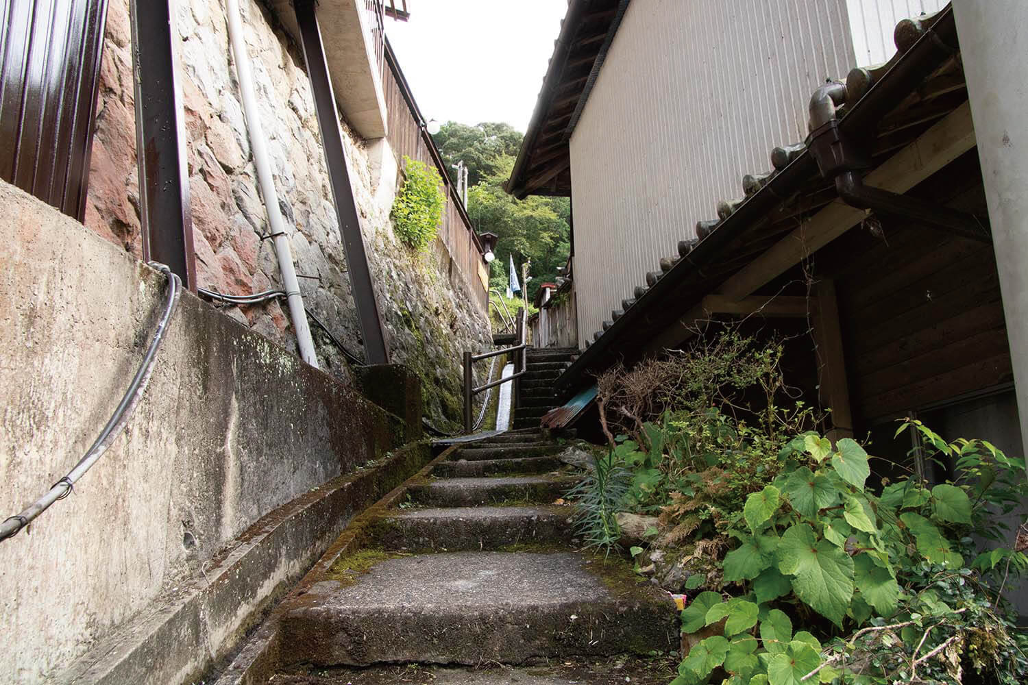 バス停からの細道